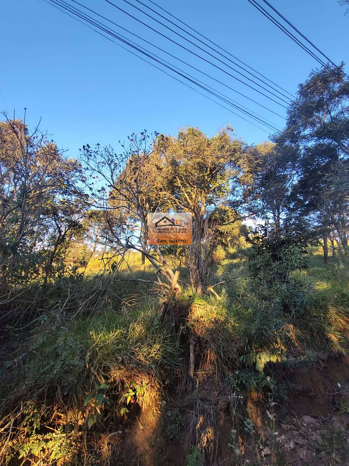 Terreno à venda - Pinhal,Jarinu