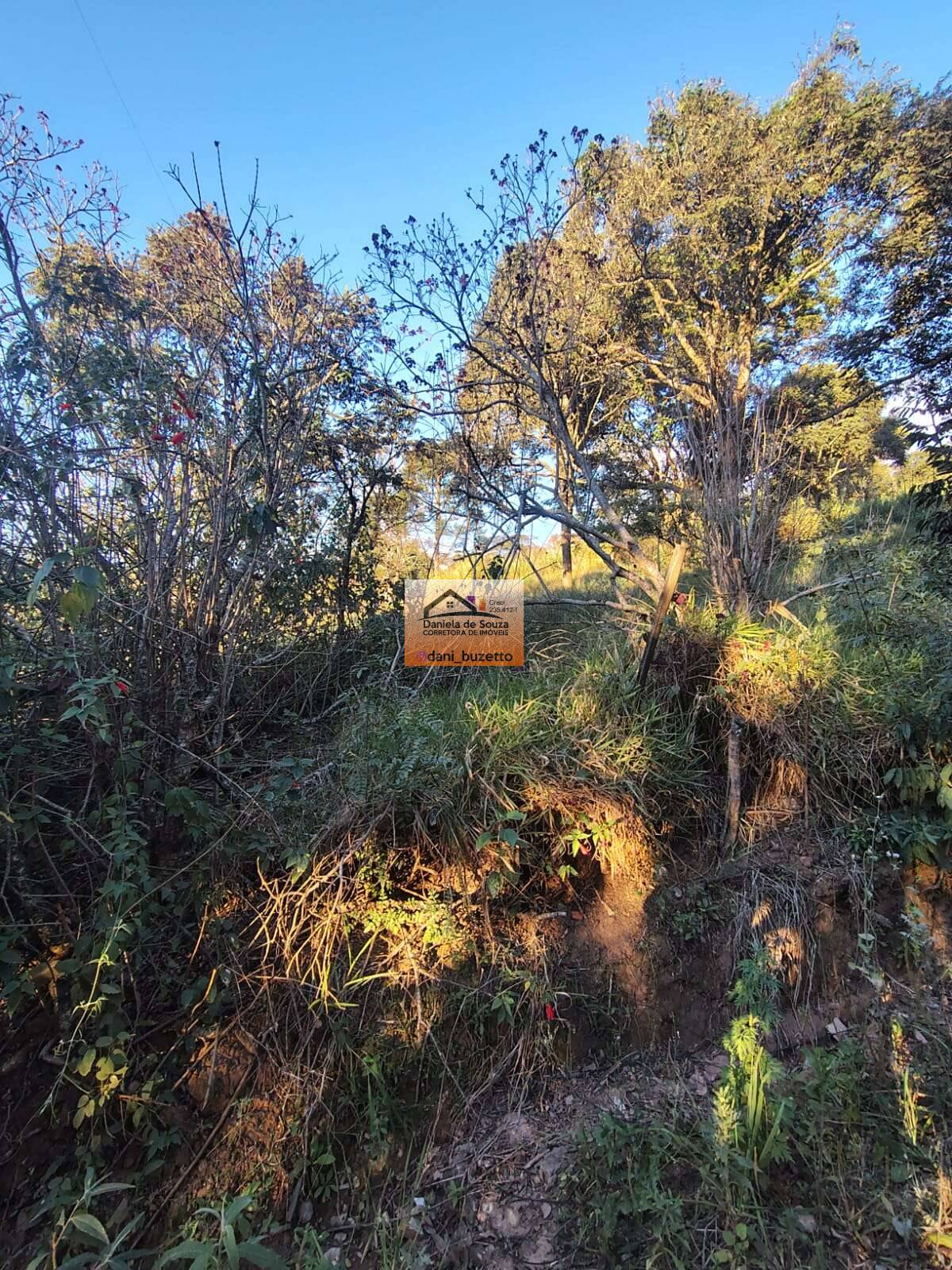 Terreno à venda em Jarinu, Pinhal, 1500m² - Daniela deSouza