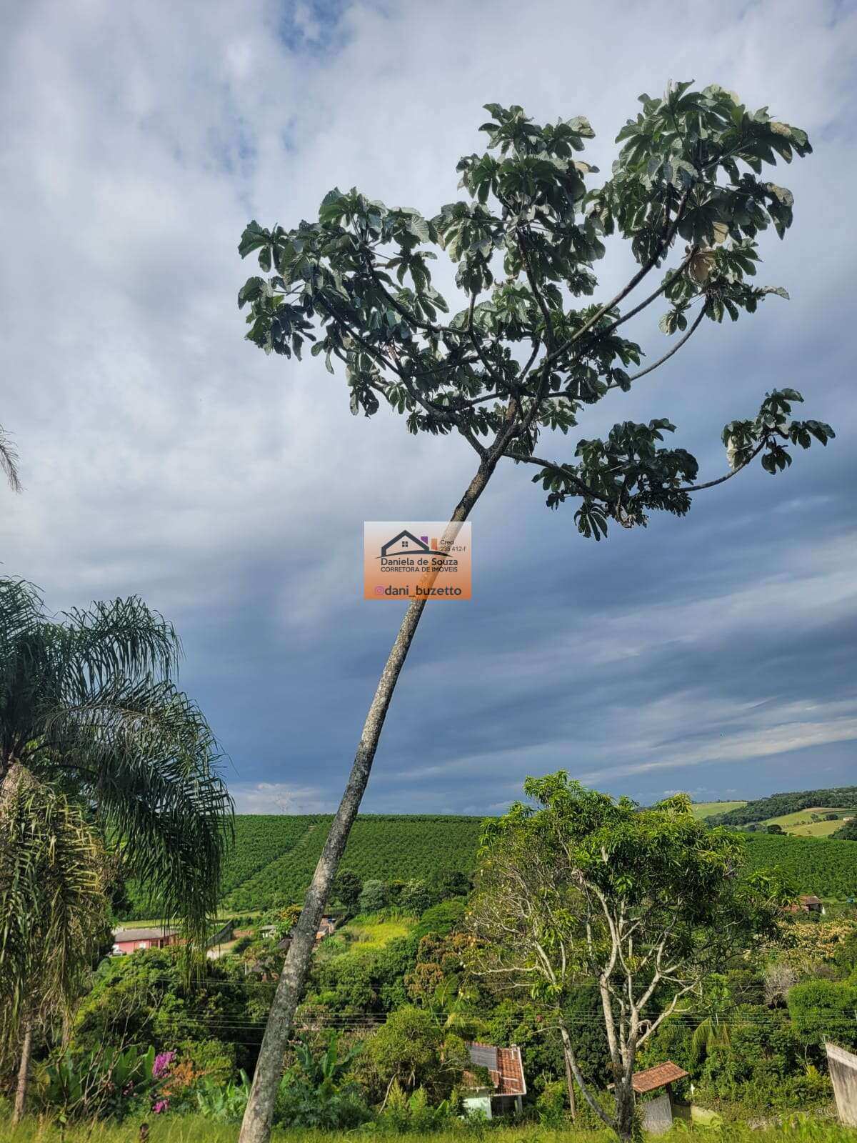 Terreno à venda - PINHAL,Jarinu